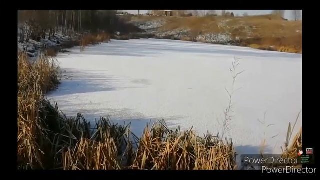 4e225a23527f03c7b4562652a7e89c3c