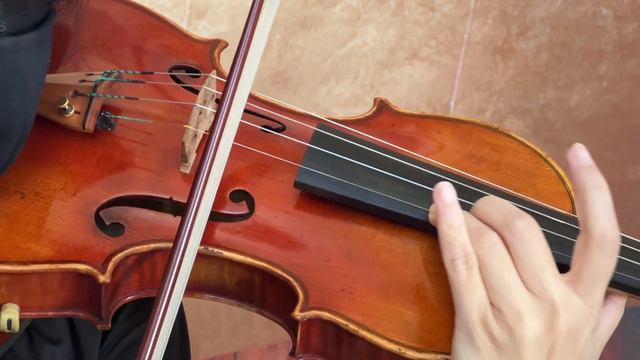 Ifstrings Private Stock VSA Custom Guarneri Del Gesu 1741 