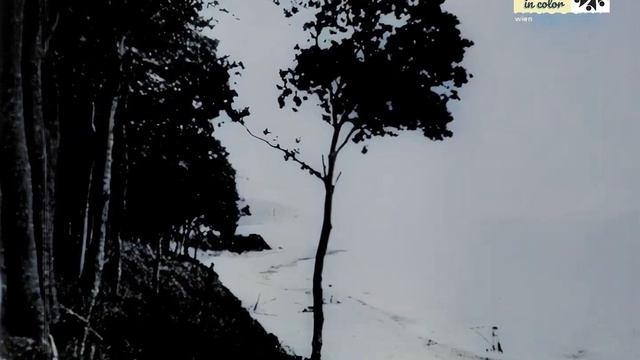 Сочи. Туапсе. Июль 1922 г.