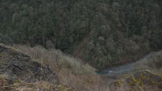 8fb0462288dcf87bea87d1ef9a128c82