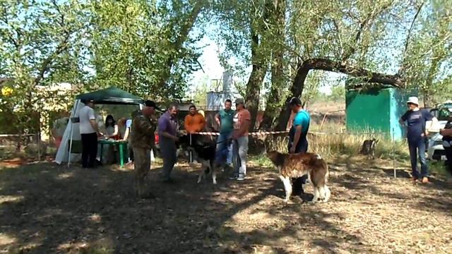 348c17bad160197de385b05a987d39ce