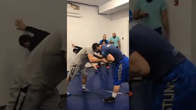 4439afa7d5aa4b31a28059835bc6575a