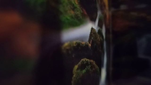 Сказка. Снежная королева. (3)