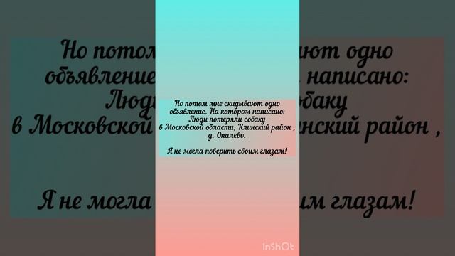 Пропала собака! Долгожданная встреча!