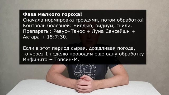 Схема обработок и подкормок винограда! Предотвратить болезни винограда легче чем лечить!