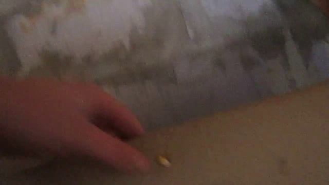 Моя воздушка (пневматика)