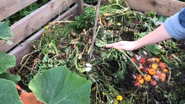 Горячий компост