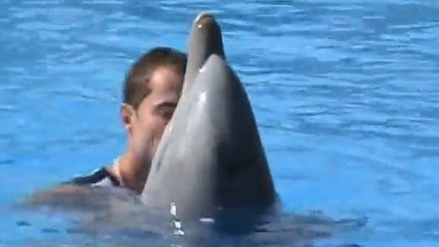 2fa9e363c18c16bd17f80ad8da3078ac