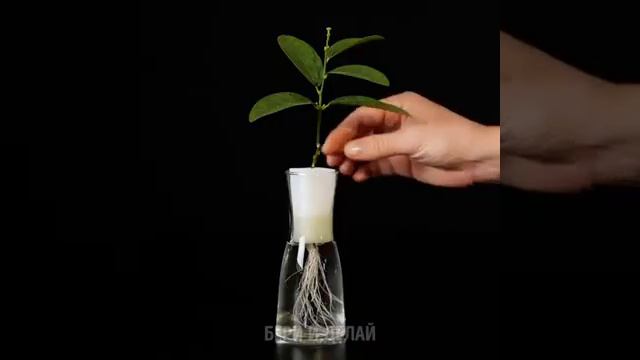 Бери и делай