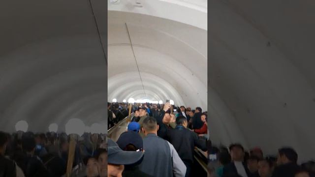 Масчити проспект мира