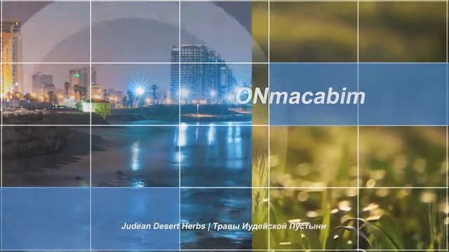 заставка для ONmacabim (производство Www.sync3d.com)