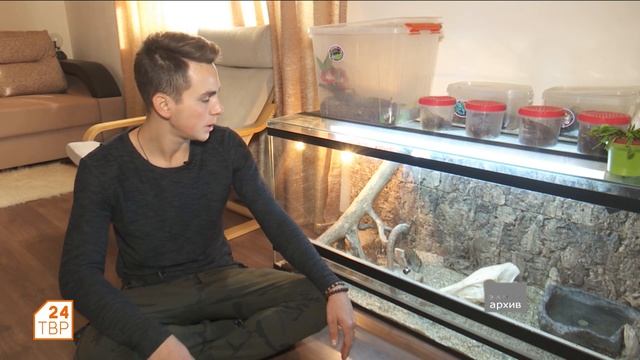 Капский варан –  самый популярный в неволе варан 