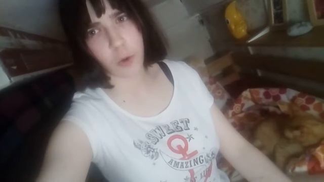 Почему надо любить кошек?