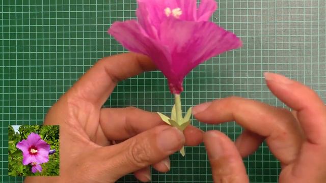 How To Create Paper Flowers Like In The Nature:  The Rose Of Sharon