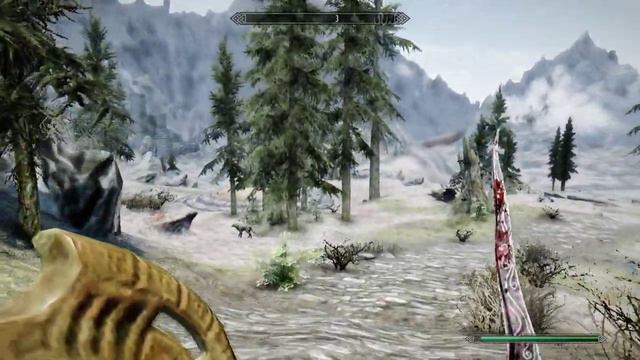 Videoigra Skyrim сборка