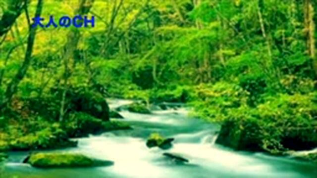 癒し大自然【1時間】リラックス音楽,集中,睡眠,ヒーリング,ヘミシンク,癒し効果