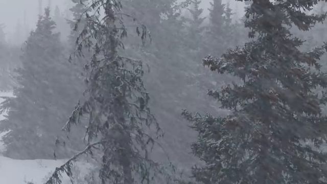 СОН В ЗИМНЮЮ НОЧЬ  Шатун  Крипи-сериал  Серия 2  Черный Рик