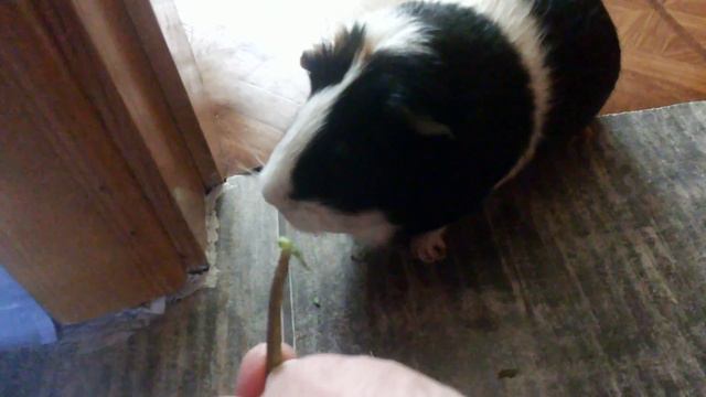 A3b307bc94461f610db51bda4ce36147