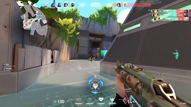 Valorant Cryostasis Vandal