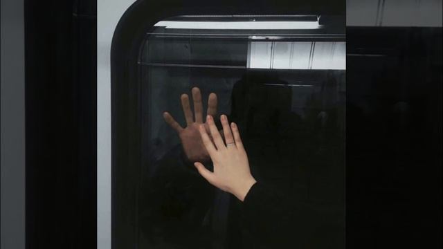 Любовь не умирает |Лирика|