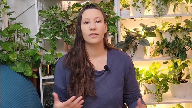 C7df501673e773373aebc0c6a275d9f6