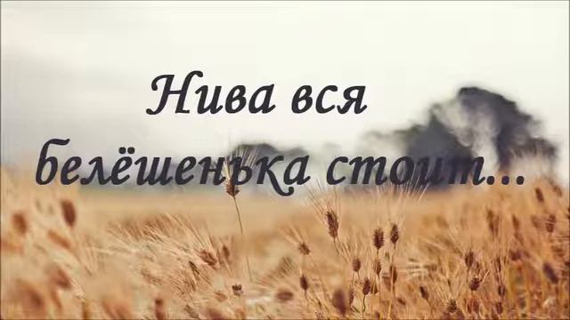 Красивая песня  