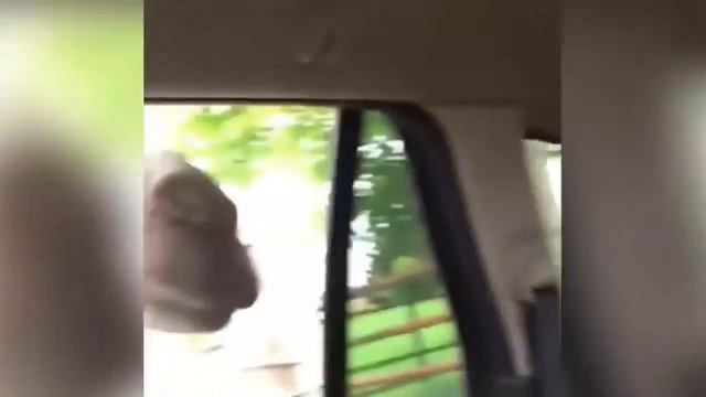 ТЕСТ НА ПСИХИКУ, КТО ЗАСМЕЁТСЯ ТОТ ПСИХ