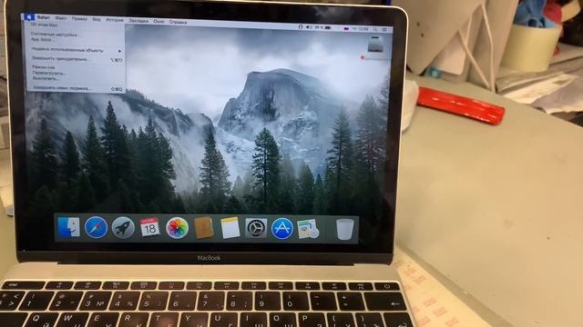 MacBook 12 Early 2015  Display Defect