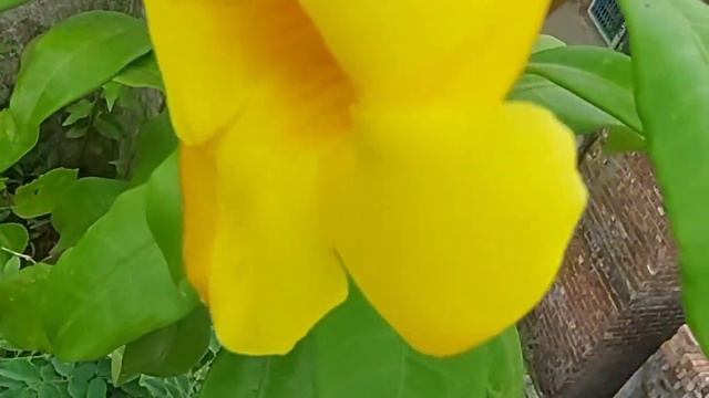 6899391df043e19986b61327dcc379f2