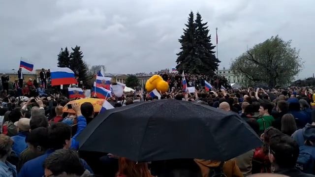 Мега уточка в Питере 12 июня Марсово поле