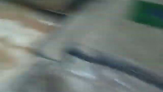 Прикольный Долматин!!!