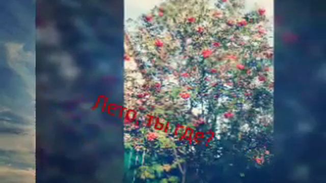 947f487f9a96683ca890537bf2edc33a