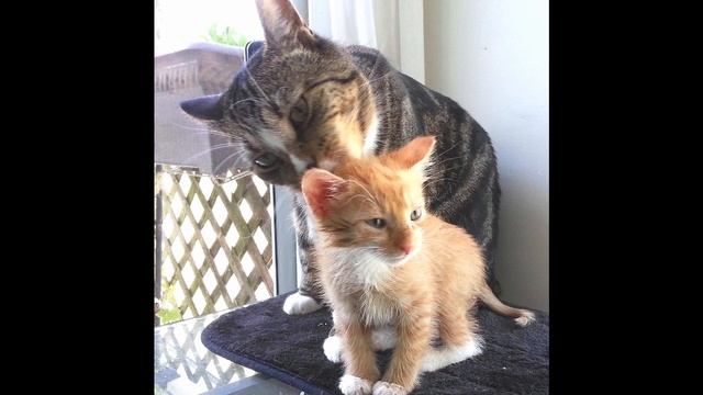 812ce55d541f3f73a2f0d2302cc122e7