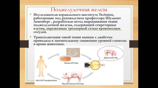 Выращивание органов