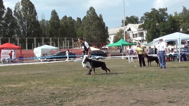 CACIB, Донецк 12.08.2012, часть 2/2