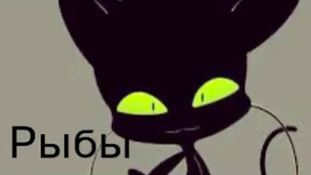 Знаки зодиака ЛедиБаг и Супер кот