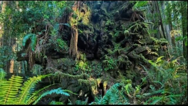 1000 Summers - Easter At Orchard Hill 2016