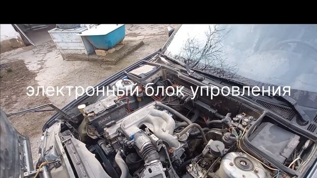 Экстремальное Боевое Искусство