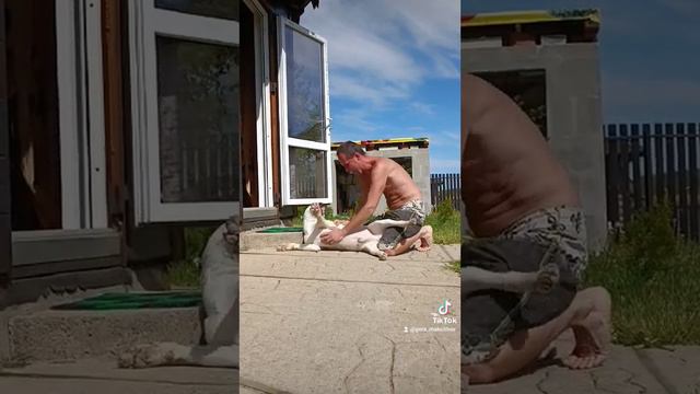 F9d3b30956daee0163012689f15a0a93