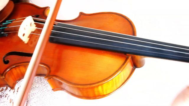 Felix MENDELSSOHN: SONGS WITHOUT WORDS - Op.19, No. 2 - Violin & Piano