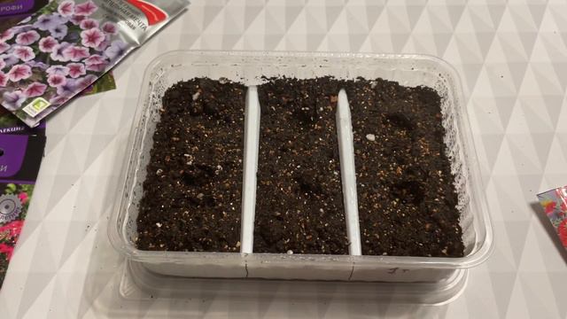 51d8dee6f65211da21dc9ea941be9889