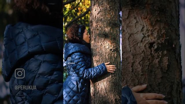 4ed428631703ebd69e074e7a32d8cdf0