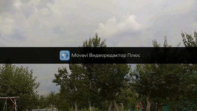 навес своими руками