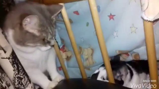 13dfea3aff06278a9cd5d060022d8a77