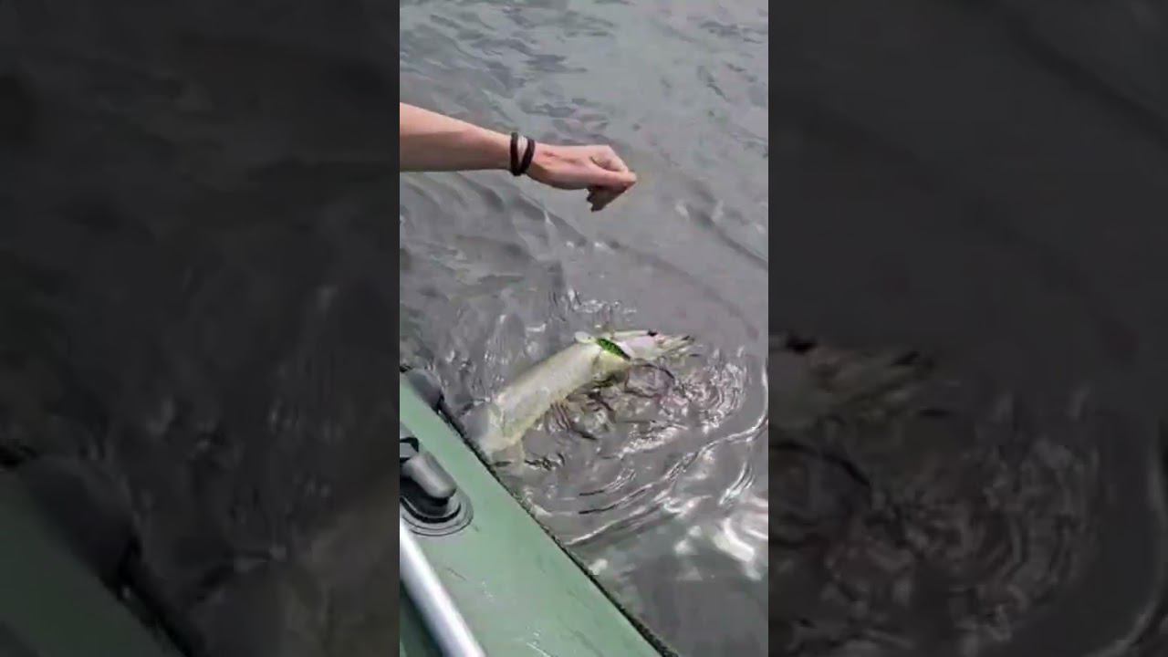 C0c2cf1ca944029703606ac3c421001b