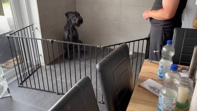 B512c36b1086f87e8d8c8f83f9f99d2c