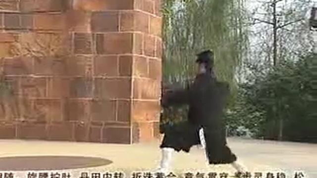 Даосский тайцзицюань 1-е таолу 2 часть. Ли Фа Цзюнь