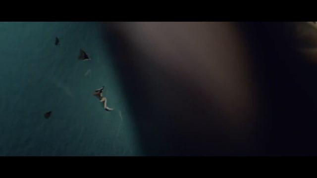 Новый модельный ряд телевизоров Hisense 2019 года