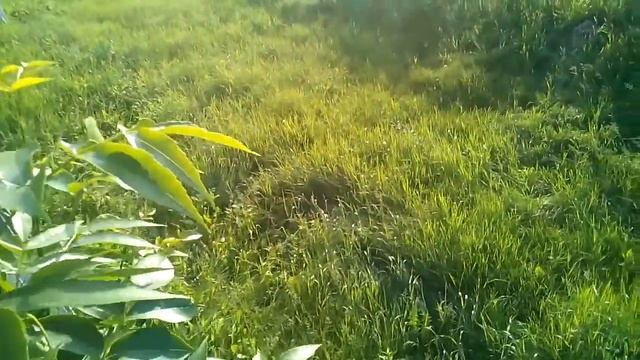 D588ffcf1eea4d474c823e32411d90c8