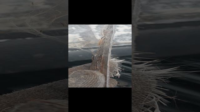 Панель из стеклопластика вместо стекла 1.